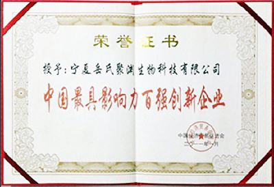 中國(guó)最具影響力百強(qiáng)創(chuàng)新企業(yè)