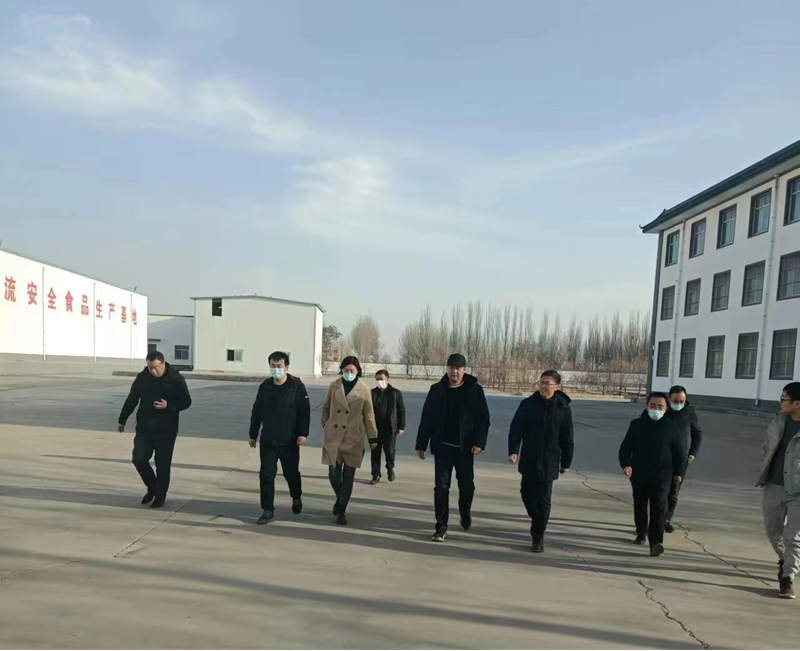 石嘴山市副市長、惠農(nóng)區(qū)委書記王宇翔蒞臨寧夏興康恒潤農(nóng)業(yè)科技發(fā)展有限公司調(diào)研