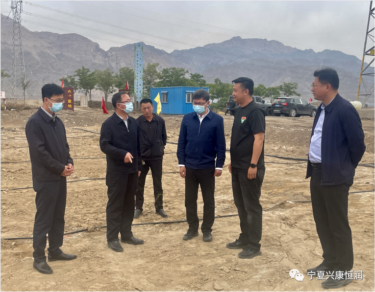 石嘴山市委書記王剛及市領導趙會勇、王宇翔蒞臨公司萬畝酸棗種植基地現(xiàn)場調研指導工作