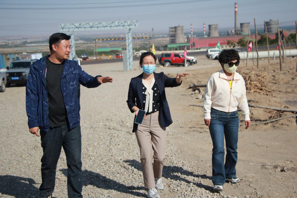 石嘴山市農業(yè)農村局副局長徐永霞、農經中心主任王曉斌一行蒞臨基地檢查指導